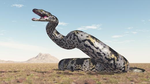 Obří vyhynulý had titanoboa  (počítačová 3D ilustrace)