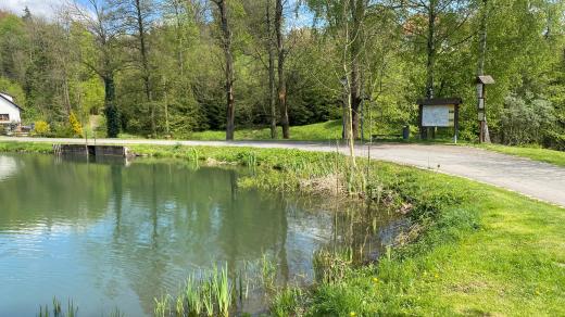 Kolem rybníka v Českých Libchavách vede taky oblíbená cyklostezka z Ústí nad Orlicí do Žampachu