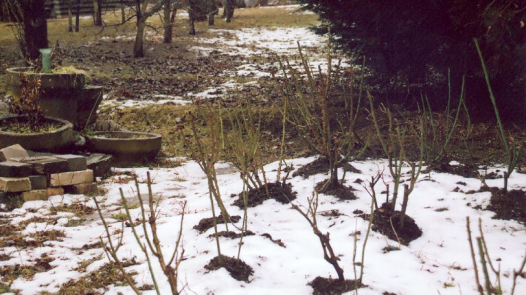 Zimní zahrada Stanislava Pelešky