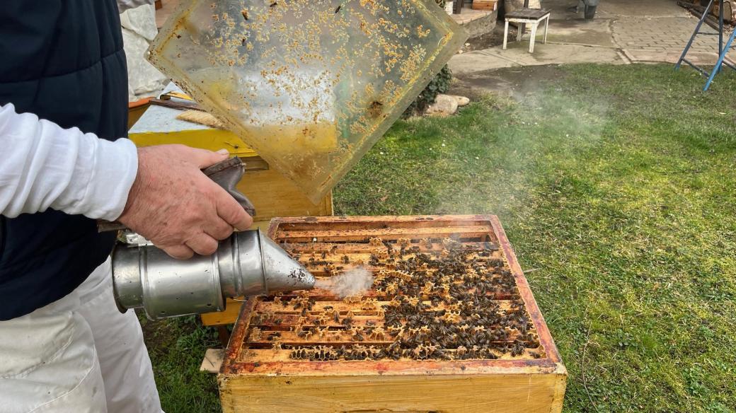 Vykuřování včel