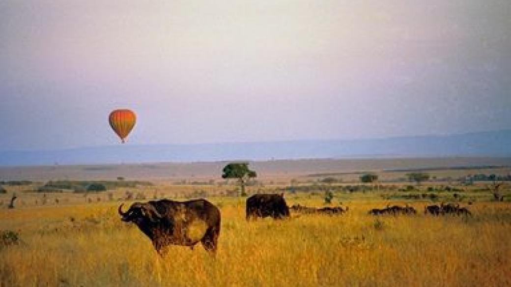 Balon nad africkou divočinou