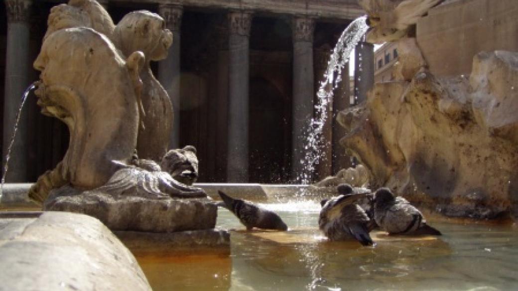 Kašny a fontány najdete v Římě na každém rohu. V době letních veder u nich osvěžení hledají nejen ptáci, ale také turisti