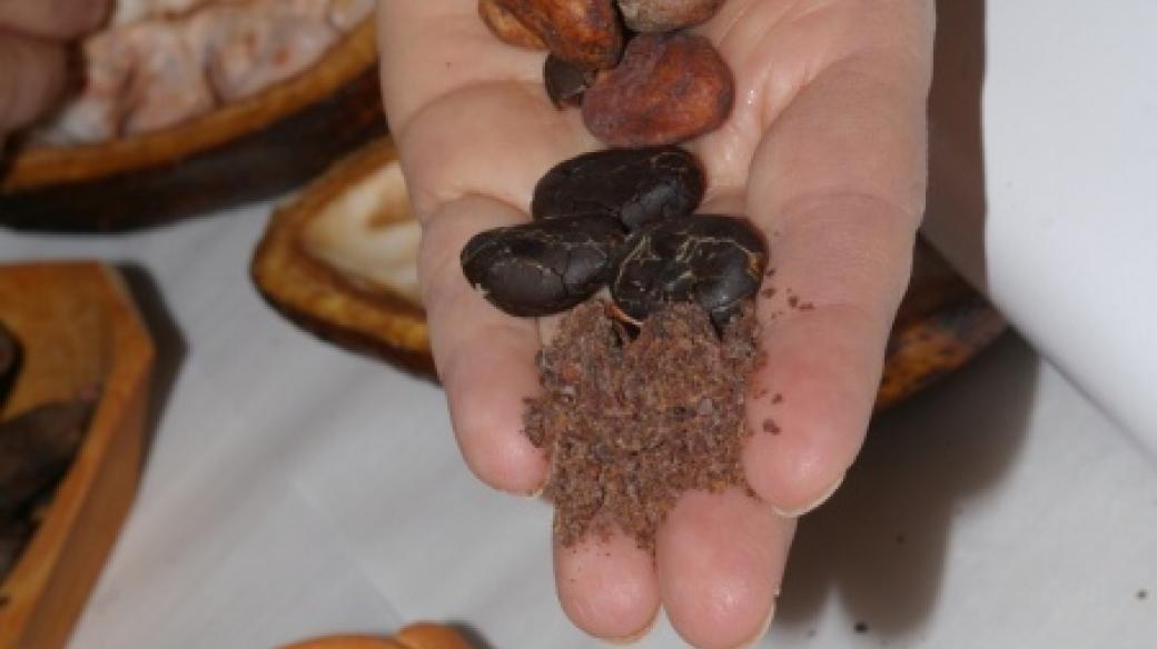 Kakaová semínka je třeba nejdřív nechat nakysnout, potom usušit, upražit a nakonec rozemlít