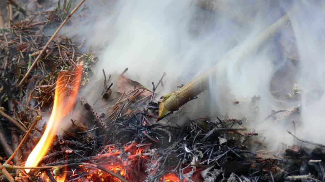 Požár lesa (ilustr. foto)