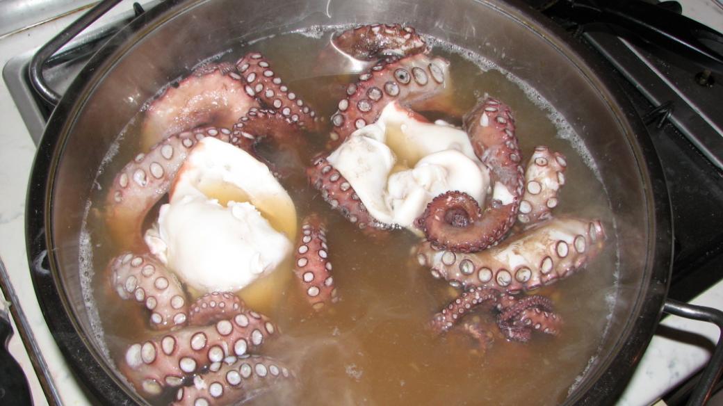 Chorvatsko, jídlo, vaření, chobotnice