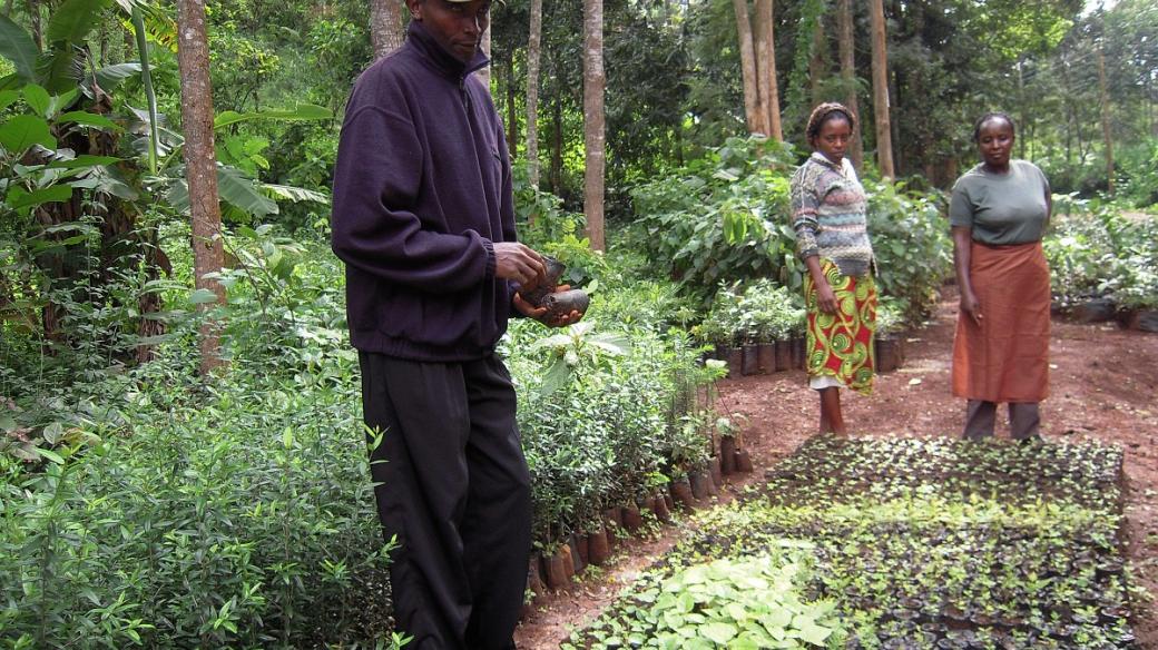 Julius Githaiga stál u zrodu dnes 20členné komunity, která pod horou Tumutumu vysazuje stromy