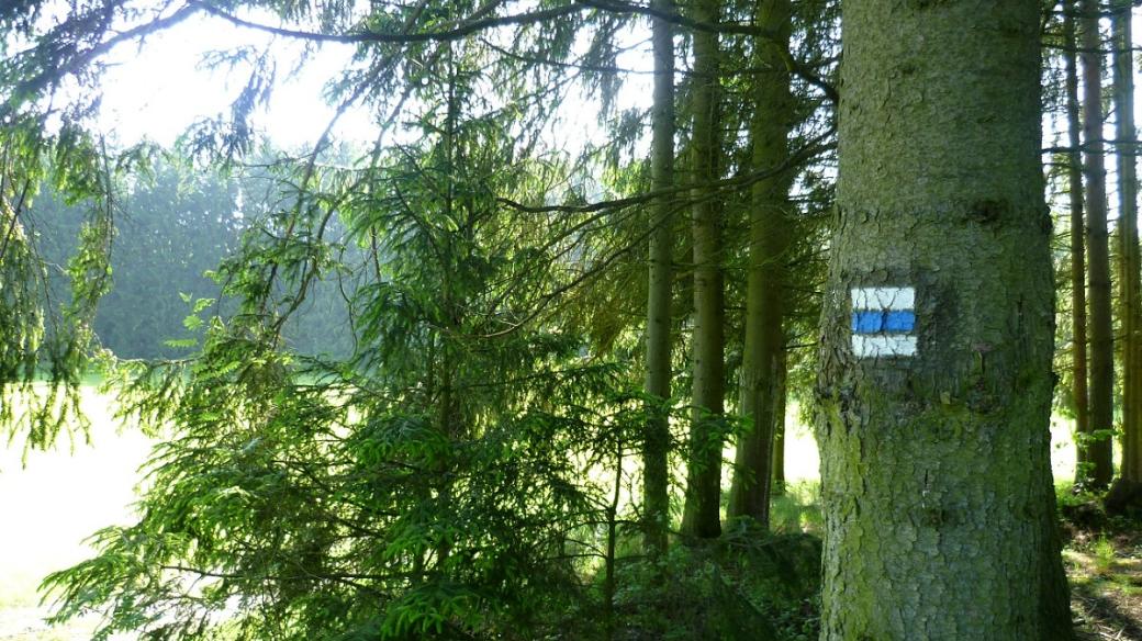 Údolím Brtnice vede modrá turistická značka