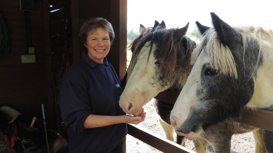 Sue Waltersová, ředitelka zvířecího útulku Millbrook v Chobhamu v hrabství Surrey