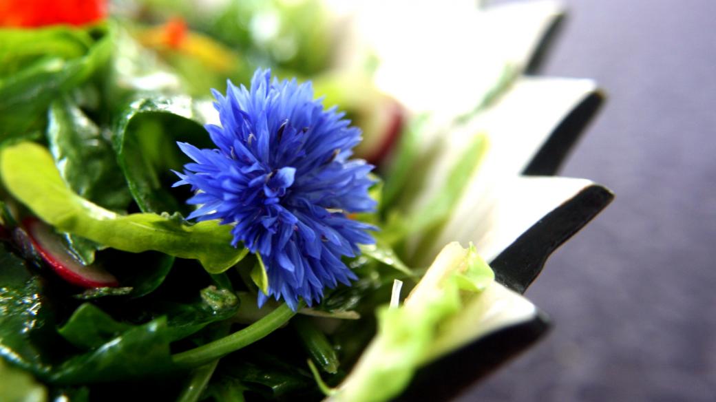 Salát s jedlými květinami