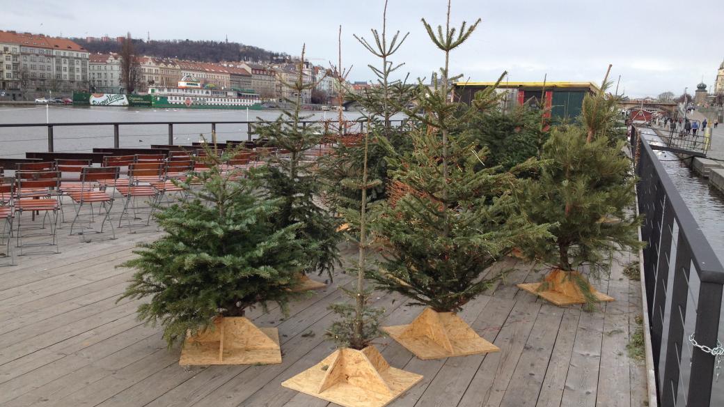 Vánoční stromky dostaly na pražské náplavce druhou šanci