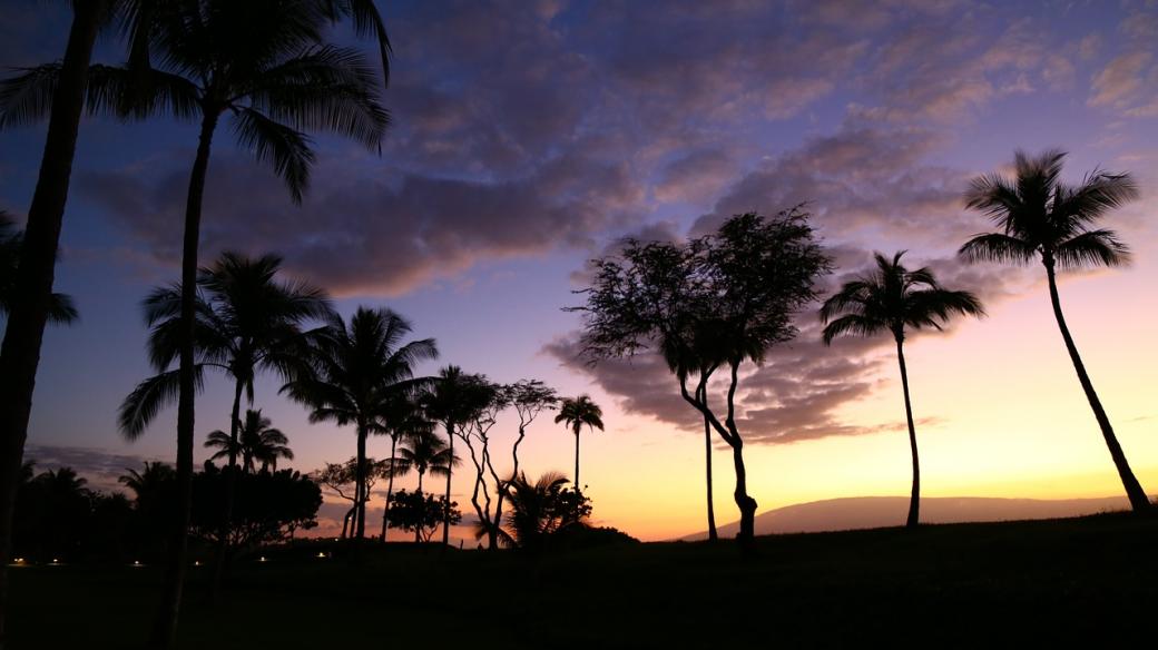 Havaj. Ilustrační foto