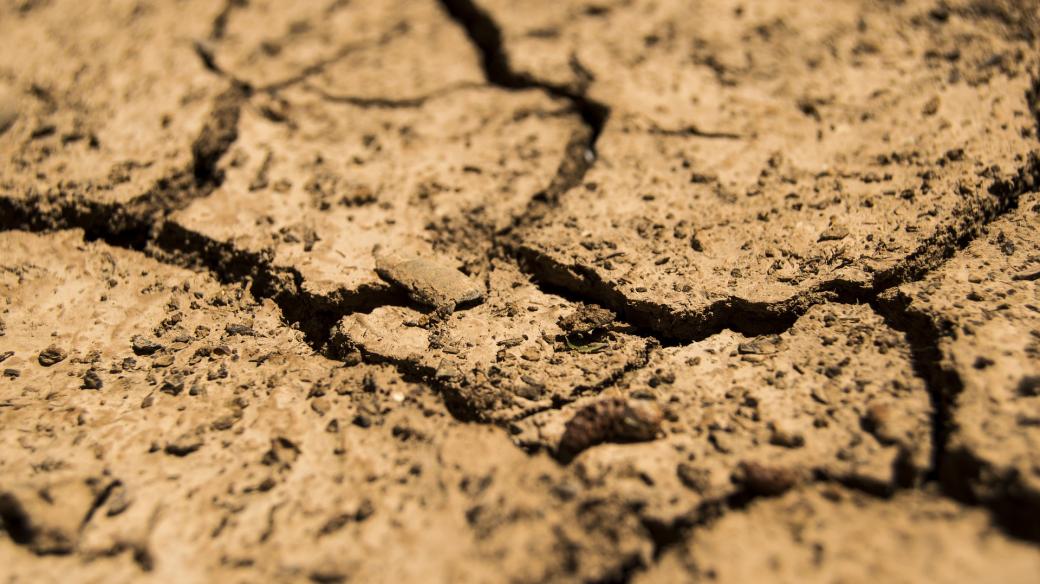 Sucho, vyprahlost, země, půda (ilustrační foto)