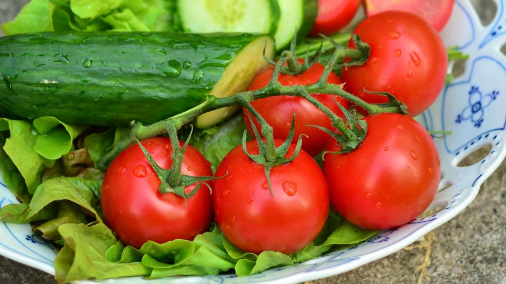 zelenina, rajčata, okurka, salát
