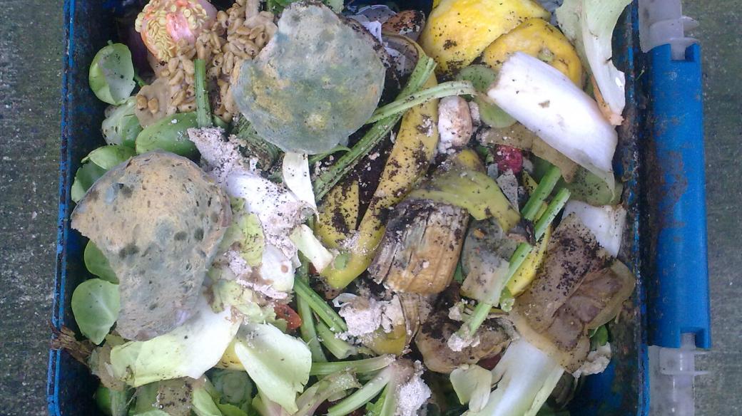 Jídlo v popelnici - odpad -plýtvání jídlem