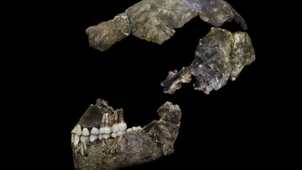 Sestavená lebka člověka Homo naledi