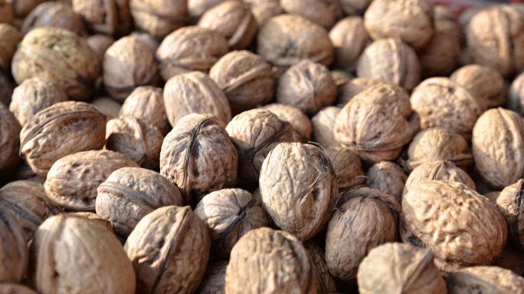 Vlašské ořechy jsou pro naše zdraví velmi přínosné