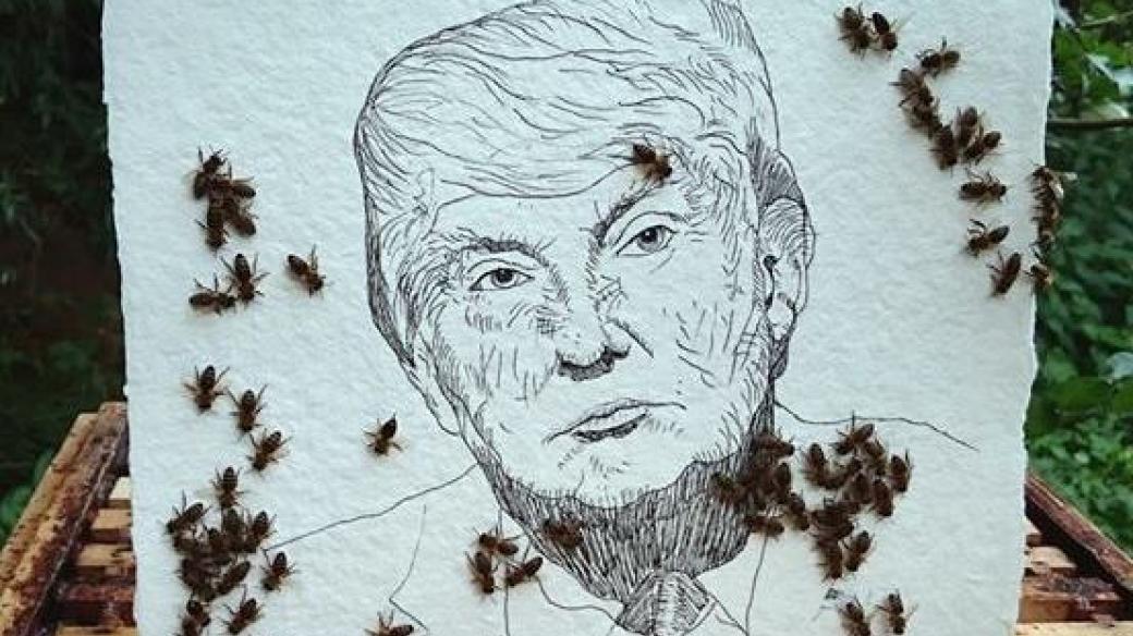 Donald Trump před včelím zásahem