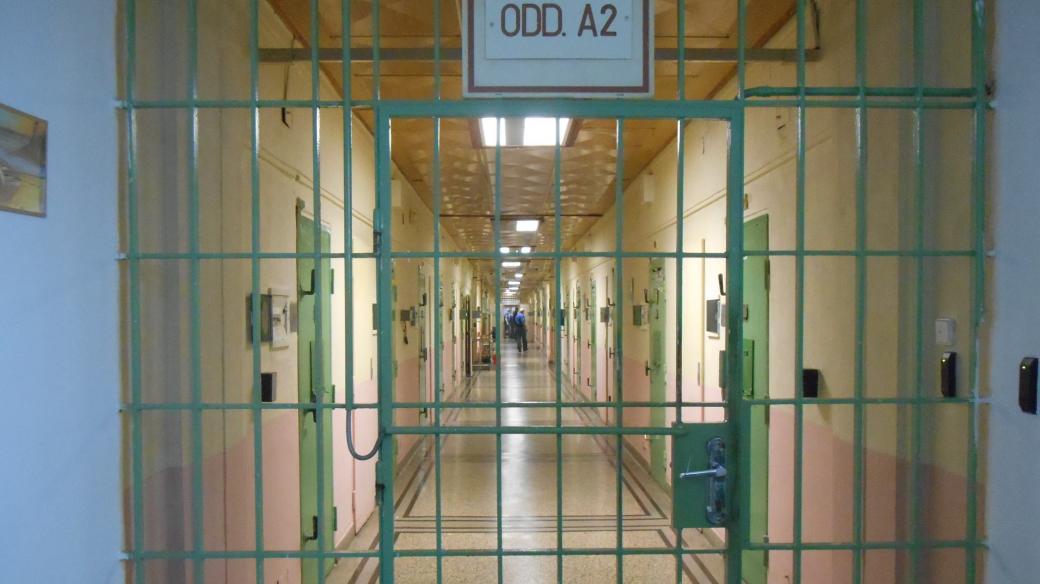 Brněnská vazební věznice v Bohunicích