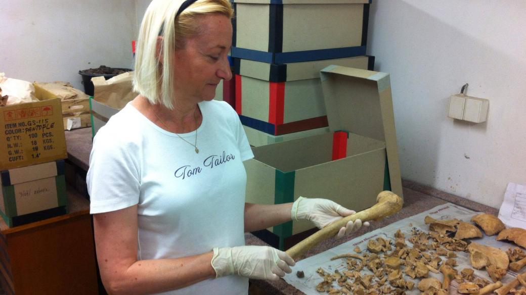 Archeoložka Zuzana Thomová ukazuje kosti, které byly vyzvednuty z Piaristického náměstí. Na tomto místě byl totiž středověký hřbitov, pohřbívalo se tu od 13. do poloviny 18. století