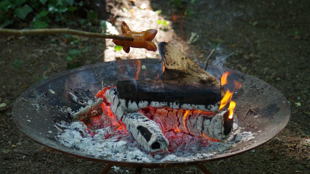Před pár měsíci jsme na chalupě udělali oheň a opékali špekáčky. Aby oheň hořel a špekáčky se opekly, museli jsme pro to něco udělat