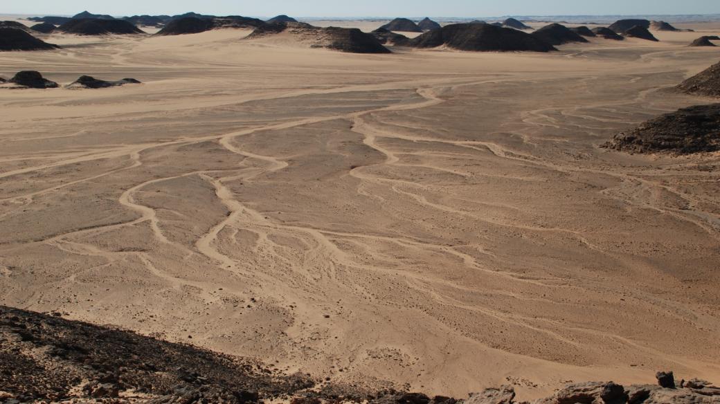 Núbijská poušť - Wádí Halfa (rok 2008) 