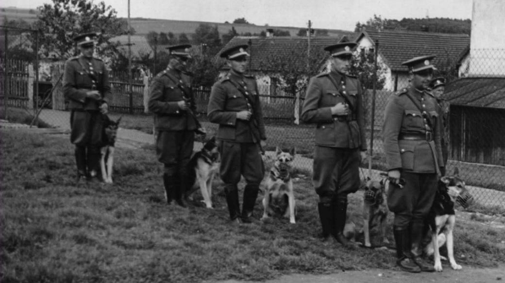Reportáž z výcviku četnických psů (1940)