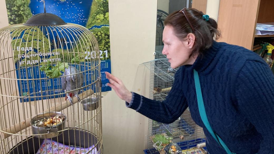 Papoušek Džordž v ukrajinské zoo, který snad umí říct i větu „Sláva Ukrajině“