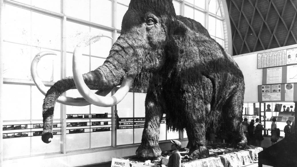 Pohled do hlavní haly Pavilonu Člověk a jeho rod s modelem mamuta