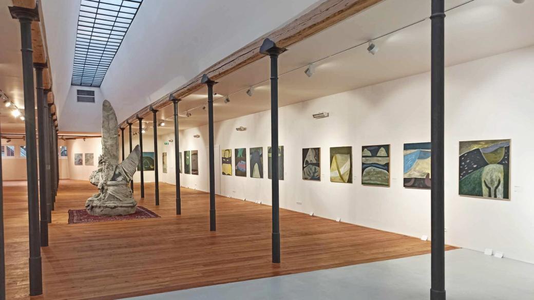 V jablonecké galerii mohou návštěvníci obrazy sami pojmenovat (výstava malíře Vladimíra Svobody)
