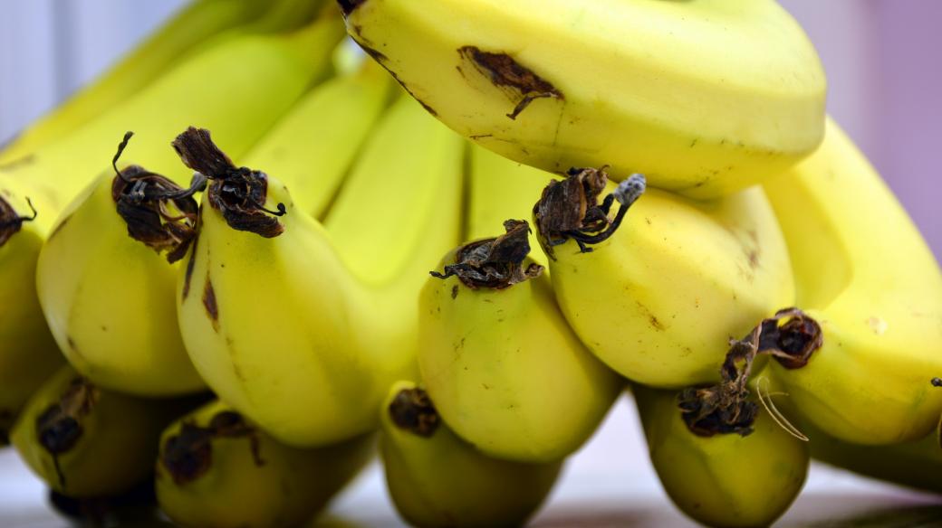 Zralé banány (ilustrační foto)