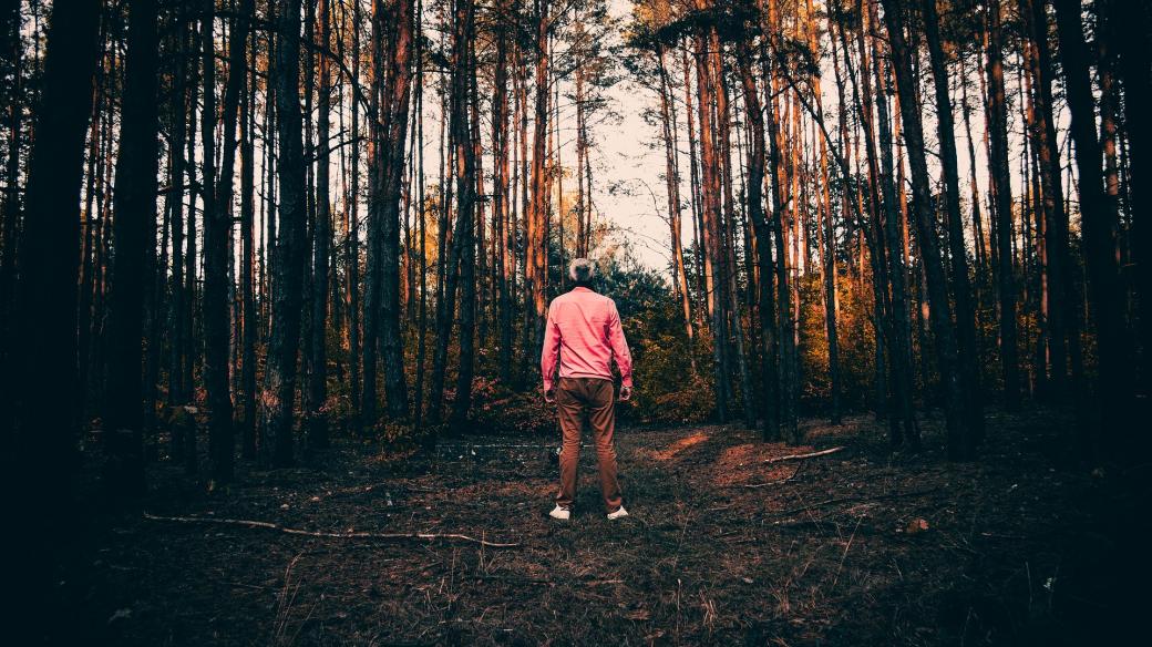muž, les, podzim, samota, pochmurno (ilustrační foto)