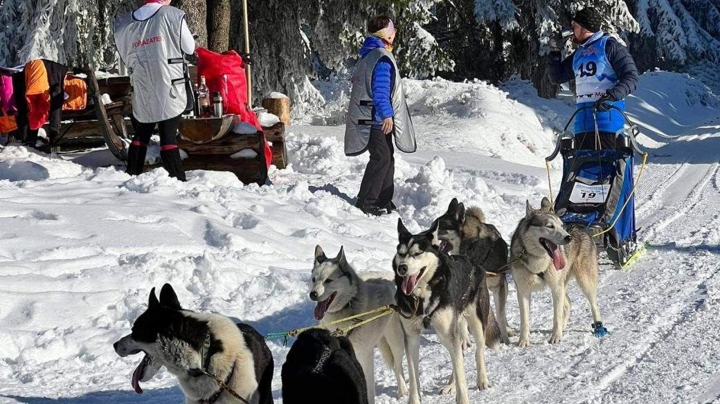 Do Orlických hor se sjelo na 50 psích spřežení na nejdelší závod u nás, Šediváčkův long