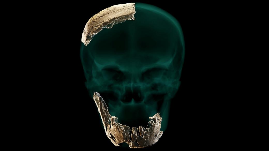 Ostatky nového druhu člověka Nešer Ramla Homo nalezené v Izraeli