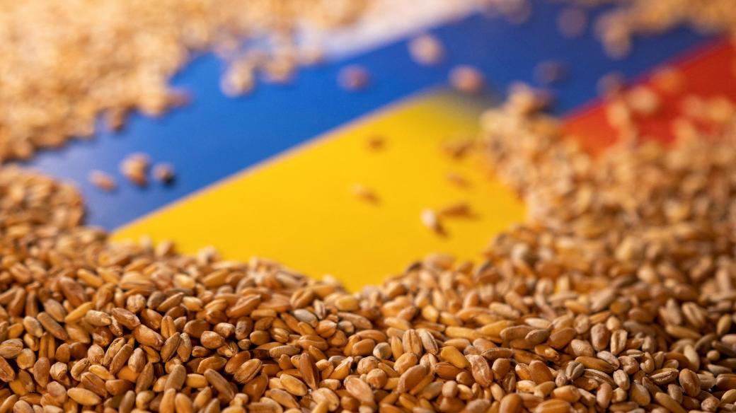 Zrnka obilí, Rusko, Ukrajina (ilustrační foto)