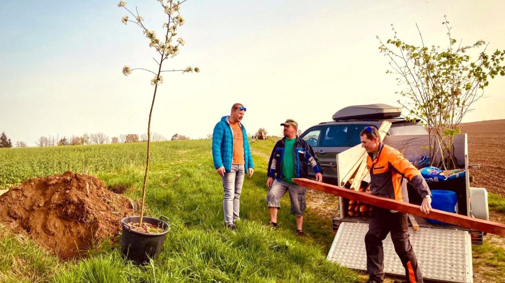 Výsadba nových stromů u Tučap na Táborsku