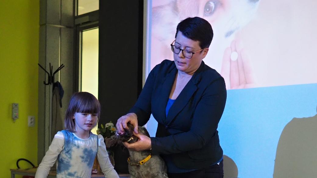 Veterinářka Pavla Košťálová vysvětluje, jak ošetřit psa v domácích podmínkách