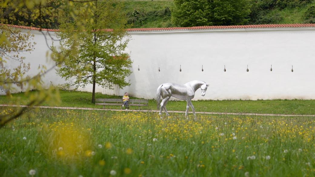 Nerezový kůň sochaře Michala Gabriela u pardubického zámku
