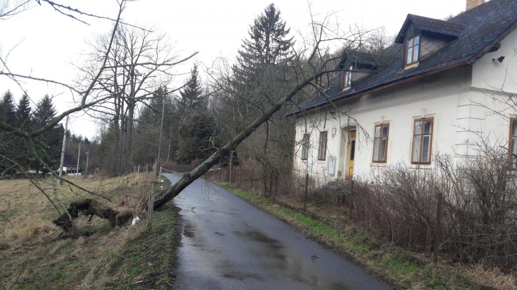 Silný vítr vyvrátil strom v osadě Peklo u Raspenavy