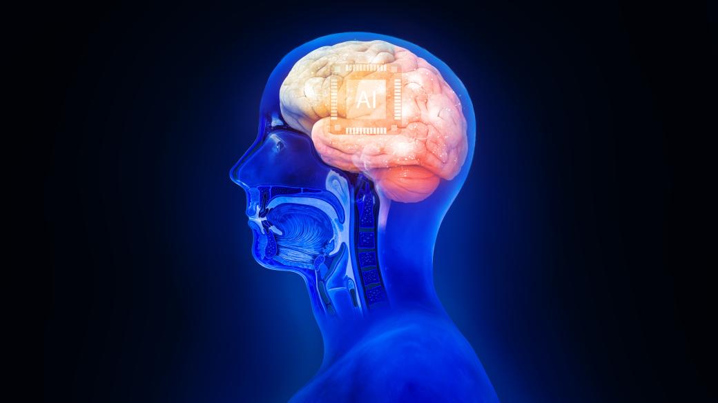 Mozek, hlava (ilustrační foto)