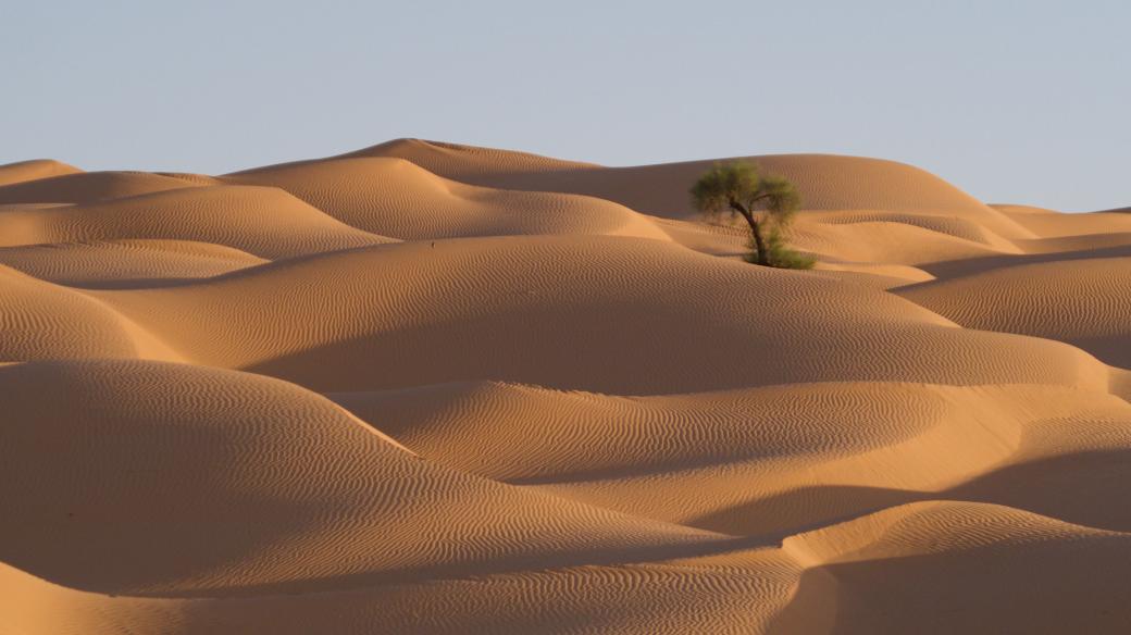 Duny a Sahara.