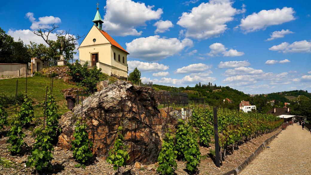 Trojská vinice sv. Kláry se tyčí nad areálem Trojského zámku