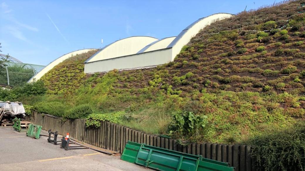 Trvalové záhony a zelené střechy v Zoo Hluboká zaujaly porotu ekologické soutěže Adapterra Awards