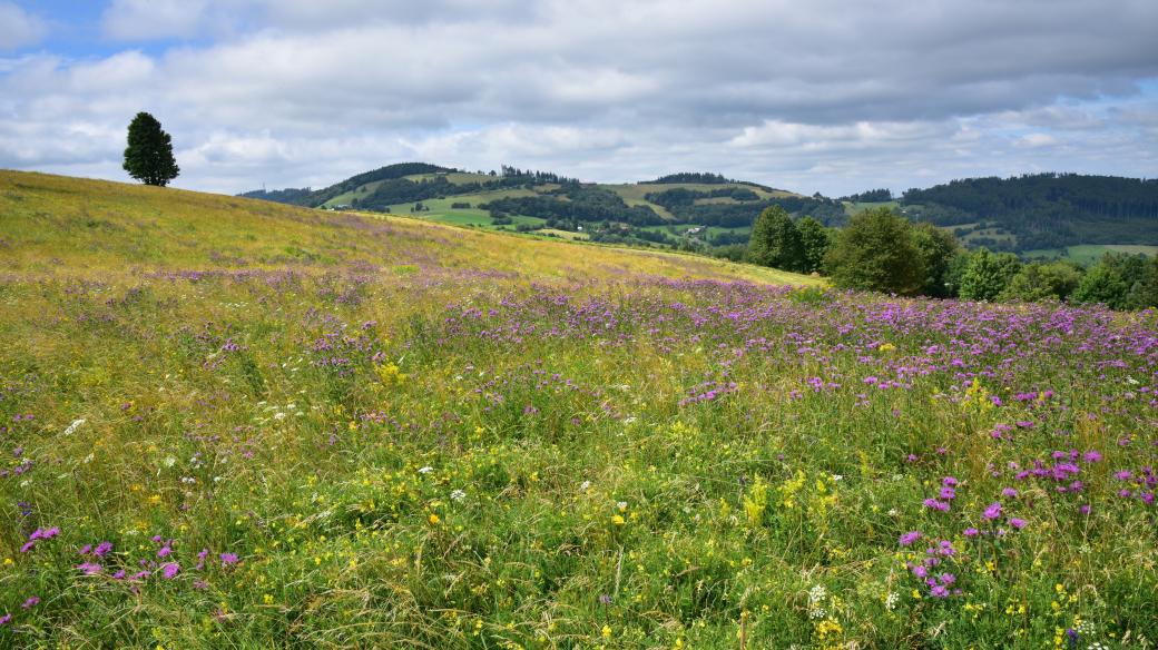 Louky a kopce Bílých Karpat