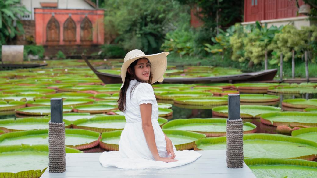 Leknín Viktorie královská je největší vodní rostlina na světě