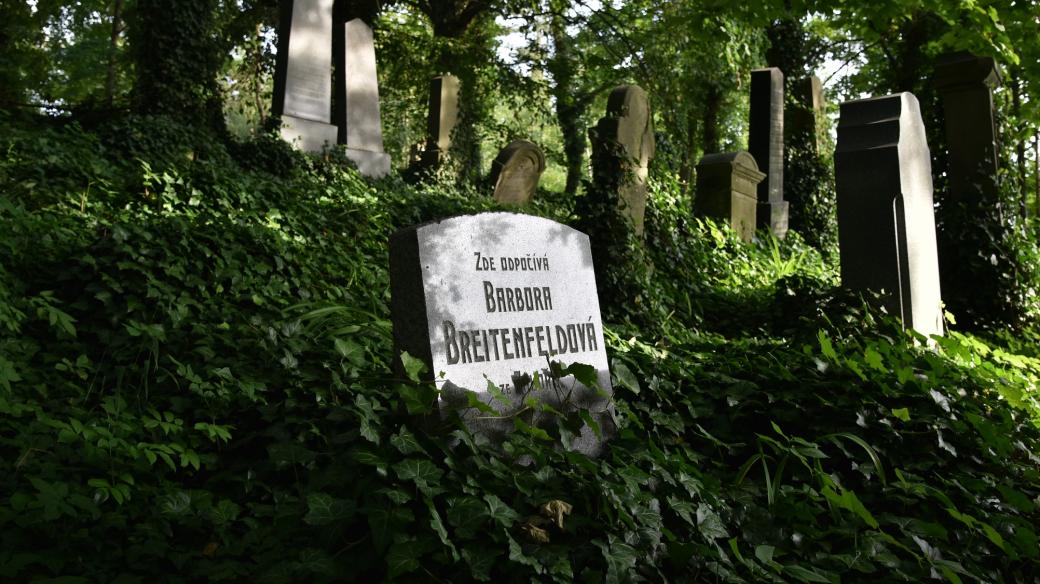 Babeta Breitenfeldová se holocaustu nedožila, zemřela v roce 1926 a je pochována na židovském hřbitově Luži