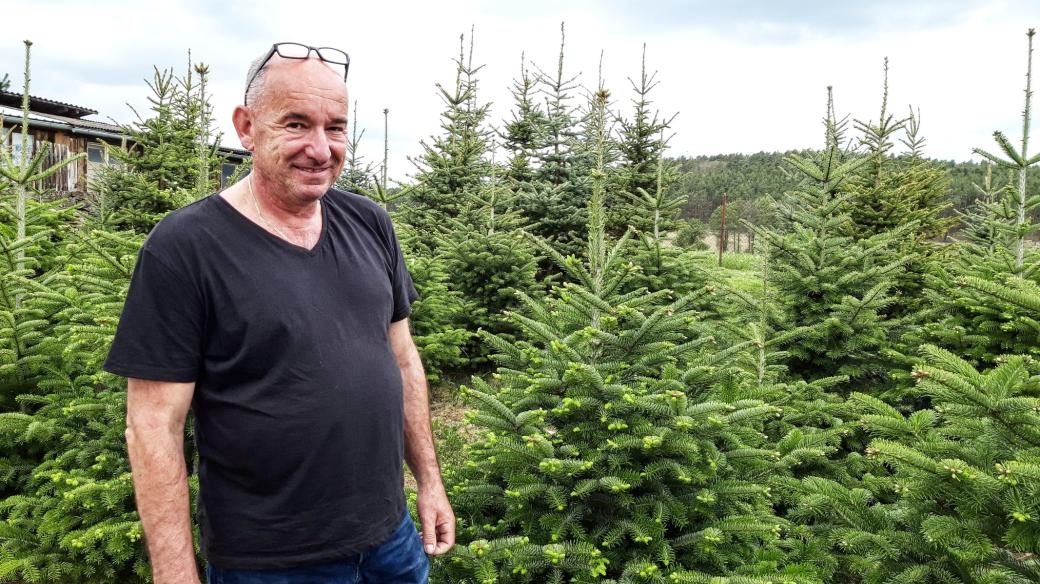 Pavel Vácha už má s pěstováním vánočních stromků dlouholeté zkušenosti