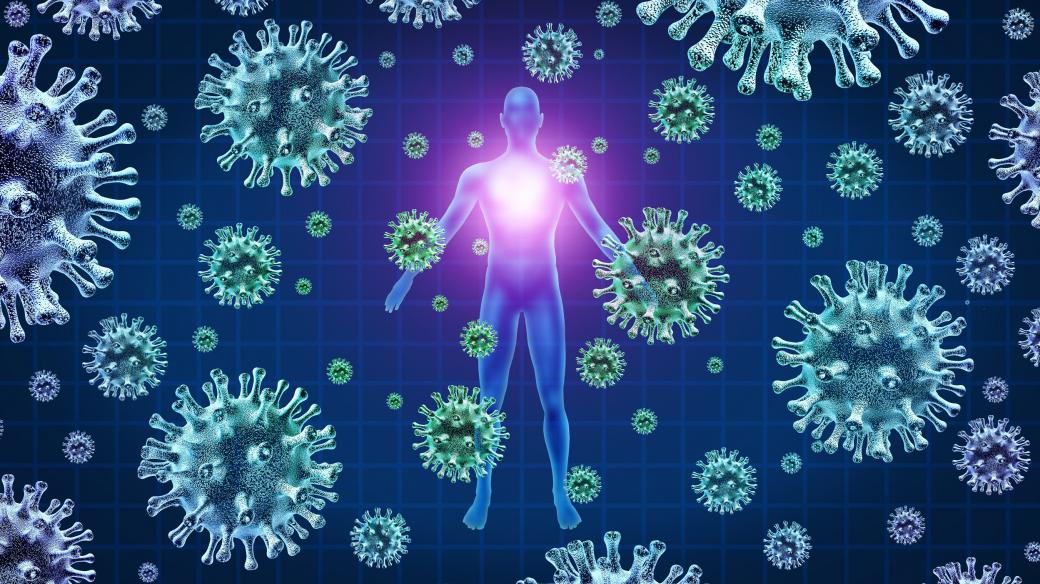Koronavirus a lidské tělo