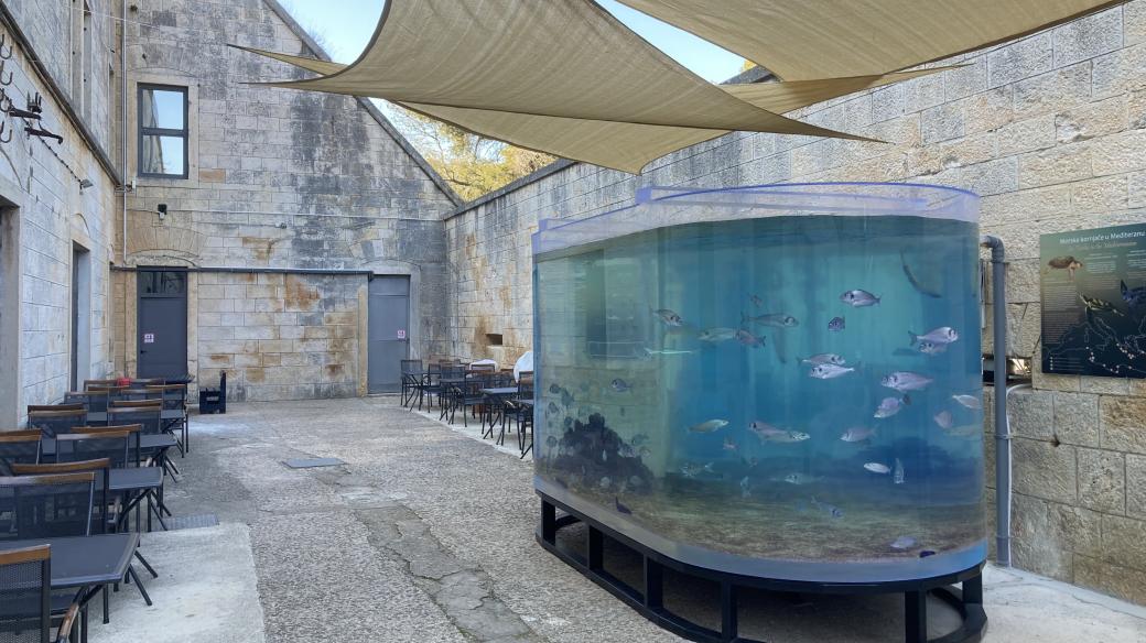 Venkovní akvárium v pevnosti Verudela je samo o sobě zajímavým vizuálním prvkem