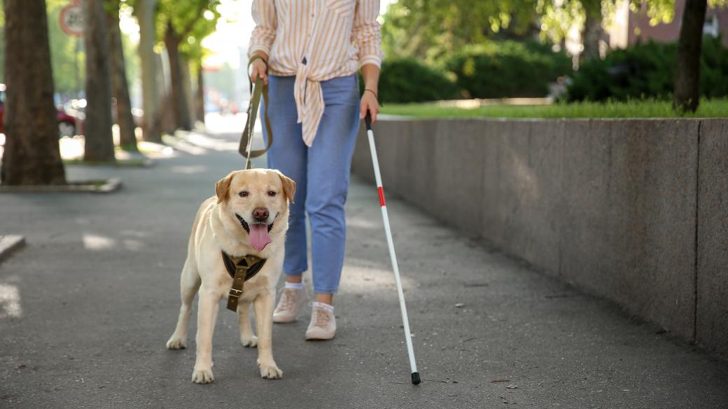 Nevidomá žena s vodicím psem