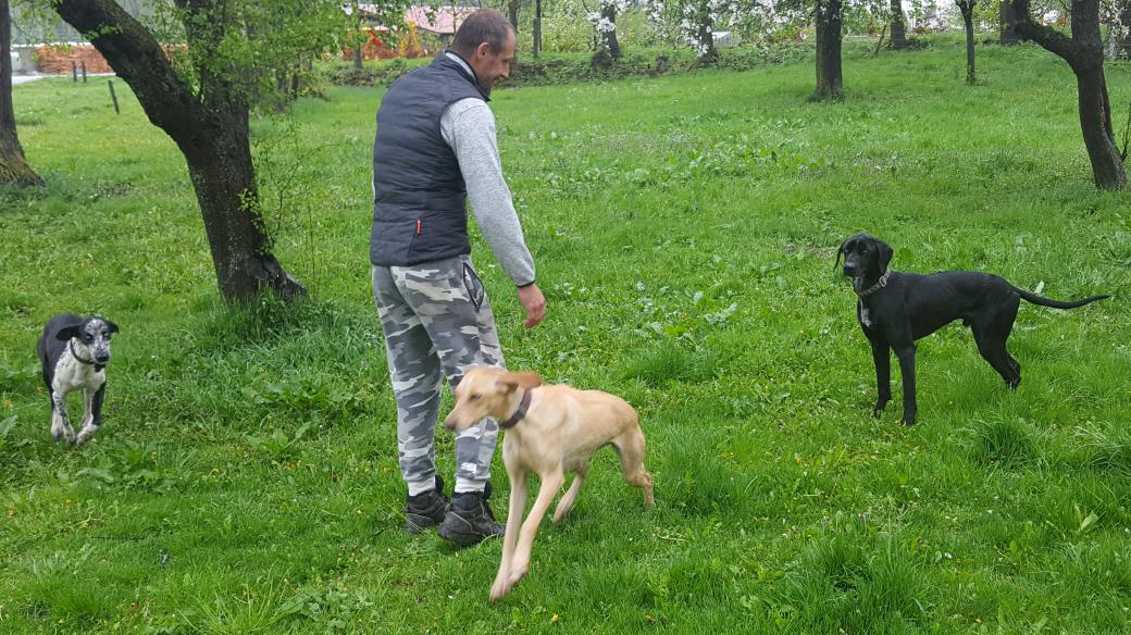 Marián Kdýr ze Smrhova u Besednice je majitelem devíti evropských saňových psů